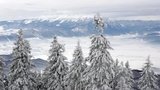 снег