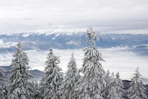 Цензор.НЕТ Изображение