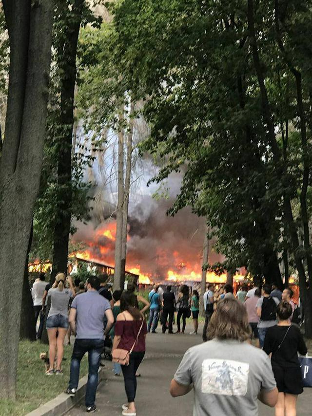 В киевском парке Пушкина горит ресторан 02