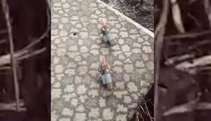 Fighters attached rifle cartridges to beetles and trolled Russian fakes about biolaboratories in Ukraine: "Two Ukrainian TMC "Tochka-Z" are moving to launch zone". VIDEO