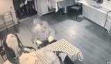 В одному з барів Дніпра людям роздавали гроші в обмін на голос за кандидата на президентських виборах. ВIДЕО