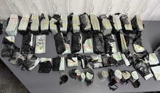 Почти миллион долларов везла украинка под капотом машины