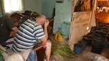сбу,калуш,наркотики