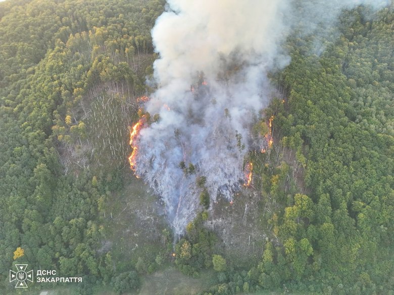 A 7-hectare forest fire is being extinguished in Zakarpattia