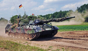 leopard,leopard1