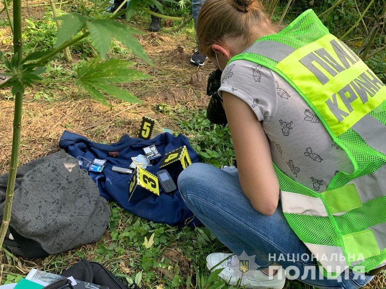 Полицейские Закарпатья обнаружили плантацию двухметровой конопли, которую охраняли вооруженные люди 02