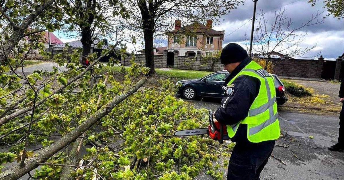Наслідки негоди на Київщині: у Кагарлику пошкоджено 62 будинки, тисячі родин залишилися без світла