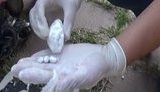 Перевозили метадон в гипсовых скульптурах: Контрабанда наркотиков на оккупированный Донбасс блокирована в Запорожской области. ВИДЕО+ФОТОрепортаж