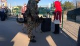 кпвв