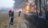 Співробітникам ДСНС на Луганщині повідомлено підозру у масовій фальсифікації актів про пожежі, - ОГП. ФОТО