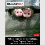 За забором
