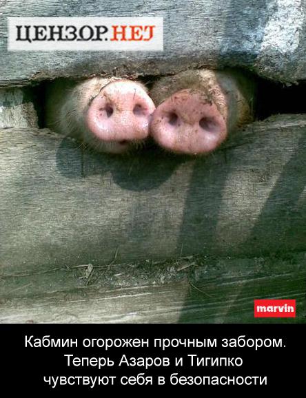 За забором