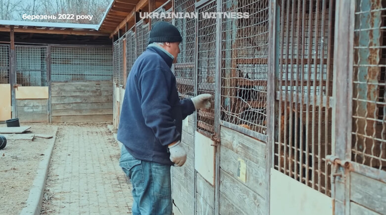 Притулок для тварин