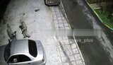 мародери