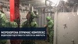 чмут