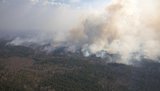 У Чорнобильській зоні - з 4 осередків один локалізовано. У Житомирській - з 4 локалізовано 2, - Аваков. МАПА