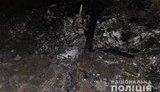 Двое мужчин на Киевщине погибли в результате крушения самолета, изготовленного кустарным способом, - МВД. ФОТО