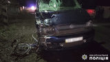 Водій мінівена на смерть збив двох велосипедистів на Хмельниччині, - поліція. ФОТО