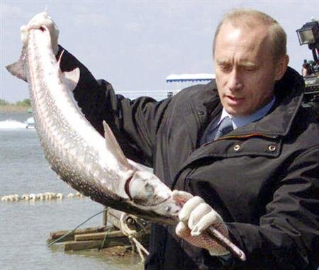 Цензор.НЕТ Изображение