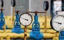 No price increases recorded in Europe after gas transit stops