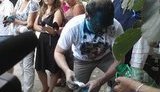 Власенко плеснули зеленкой в лицо. ФОТО