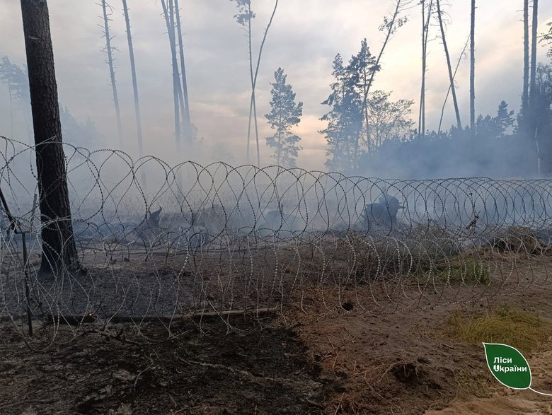 Обстріли РФ спричинили чотири лісові пожежі на Чернігівщині та Сумщині