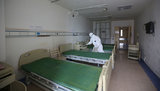 Foreign Ministry: 830 Ukrainians isolated in Egypt due to coronavirus outbreak