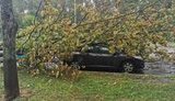 Потужний ураган пронісся Києвом: підтоплено вулиці, повалено дерева і пошкоджено автомобілі. ВІДЕО+ФОТО