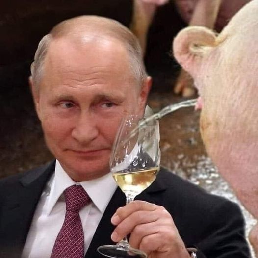 Свято наближається! Святкові ФОТОжаби від Цензор.НЕТ 08