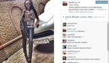 мажоры струк сепаратисты