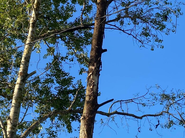 Поблизу Москви чули вибухи. Міноборони РФ повідомило про збиття БПЛА. Губернатор каже про знищення БПЛА на підльоті до складів військової частини (оновлено) 09