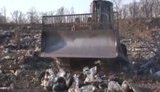 россия икра трактор