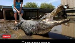 Богословская достанет кого угодно