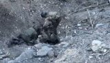 окупанти