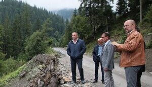 Для чого Шмигаль хоче створити монополіста з лісозаготівлі
