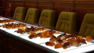 В Украине прошел первый официальный аукцион по продаже янтаря. ФОТО