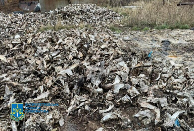 Загрязнили землю трупами животных на Днепропетровщине