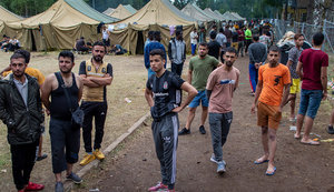 Польша на границе с Беларусью создает новые охраняемые лагеря для беженцев