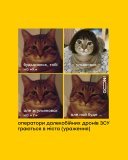 Грайте далі!