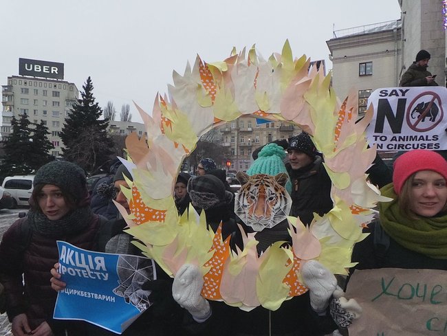 Страждання - це НЕ смішно! У Києві протестували проти використання тварин у цирку 12