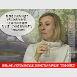 О вреде алкоголя