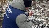 наслідки удару по Харкову