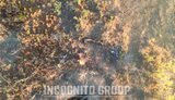 Українські оператори дронів ліквідували окупантів