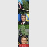 План Ющенко удался