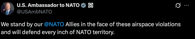 Дроны РФ в Польше: Витакер заявил о защите НАТО