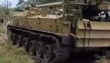сау