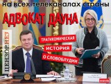 Адвокат дауна