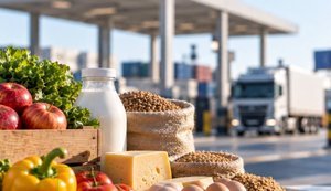 Кабмін затвердив нові документи для ввезення продуктів, тварин і кормів: що змінилося?