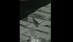 прапор України у Родинському