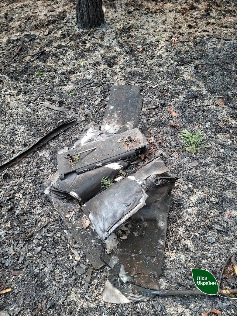 Лісову пожежу після атаки російського дрона на Київщині ліквідували за кілька годин